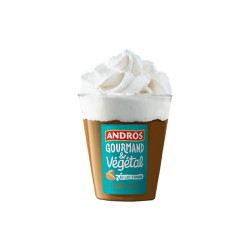 Liégeois café au lait d'amandes "Andros"