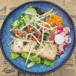 Pavé de saumon à l'aneth, sauce vierge* et sa salade fraîcheur**