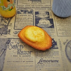 1 Madeleine Nature (50 g)