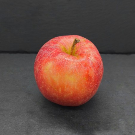 1 Pomme Gala du domaine de Ferrusac à Saint Maurin (47270)