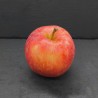 1 Pomme Gala