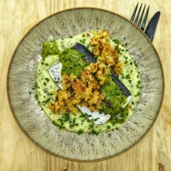 Dos de merlu chimichurri, purée de pomme de terre et courgette au boursin, crumble de parmesan